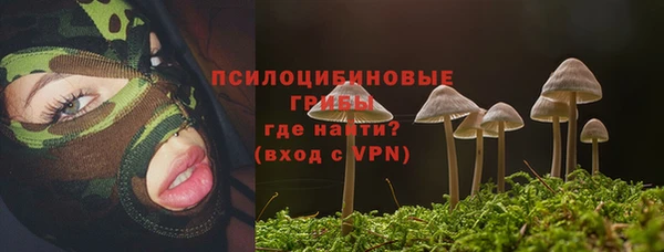 СК Богородицк