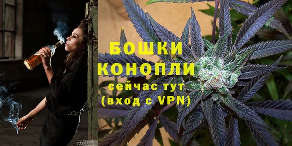 PSILOCYBIN Богородск