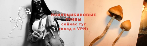 прущая мука Верхний Тагил