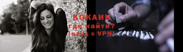 PSILOCYBIN Богородск