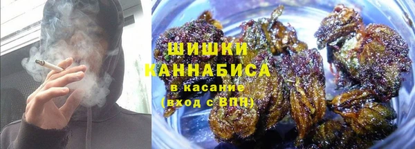 PSILOCYBIN Богородск