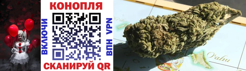 где купить наркоту  Дорогобуж  Бошки Шишки Bruce Banner 